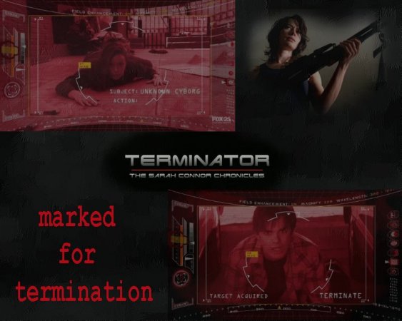 Terminator: Sarah Connor Chronicles 1